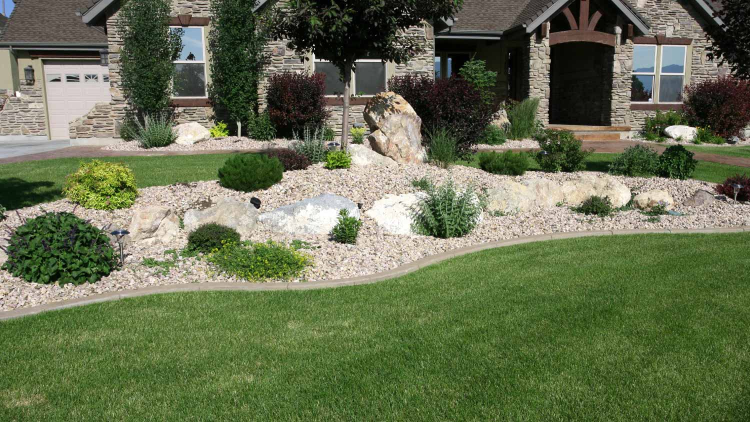 Garden with shrubs and rockery
