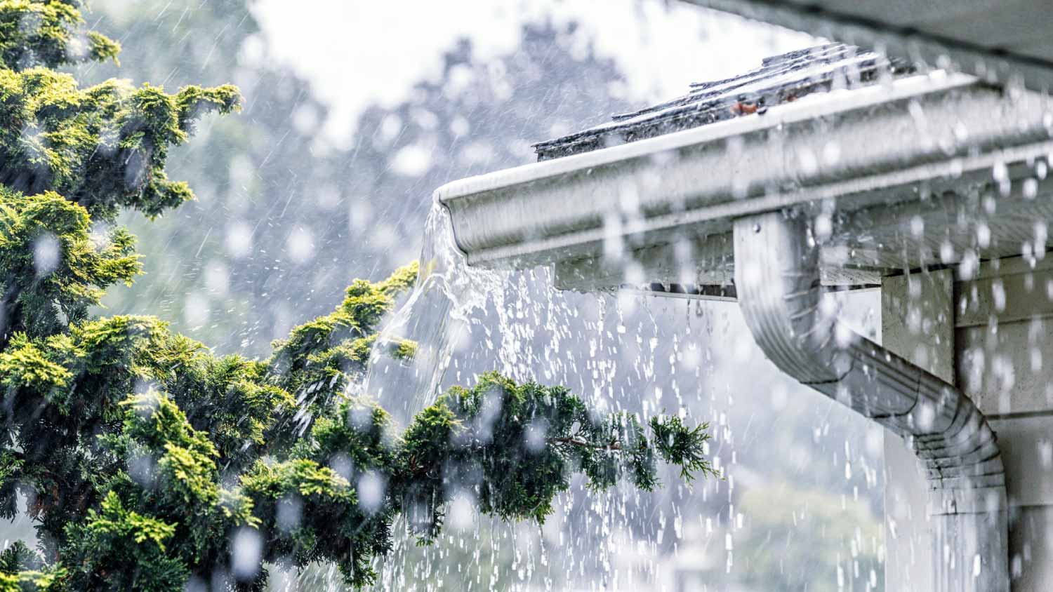 Summer rain storm