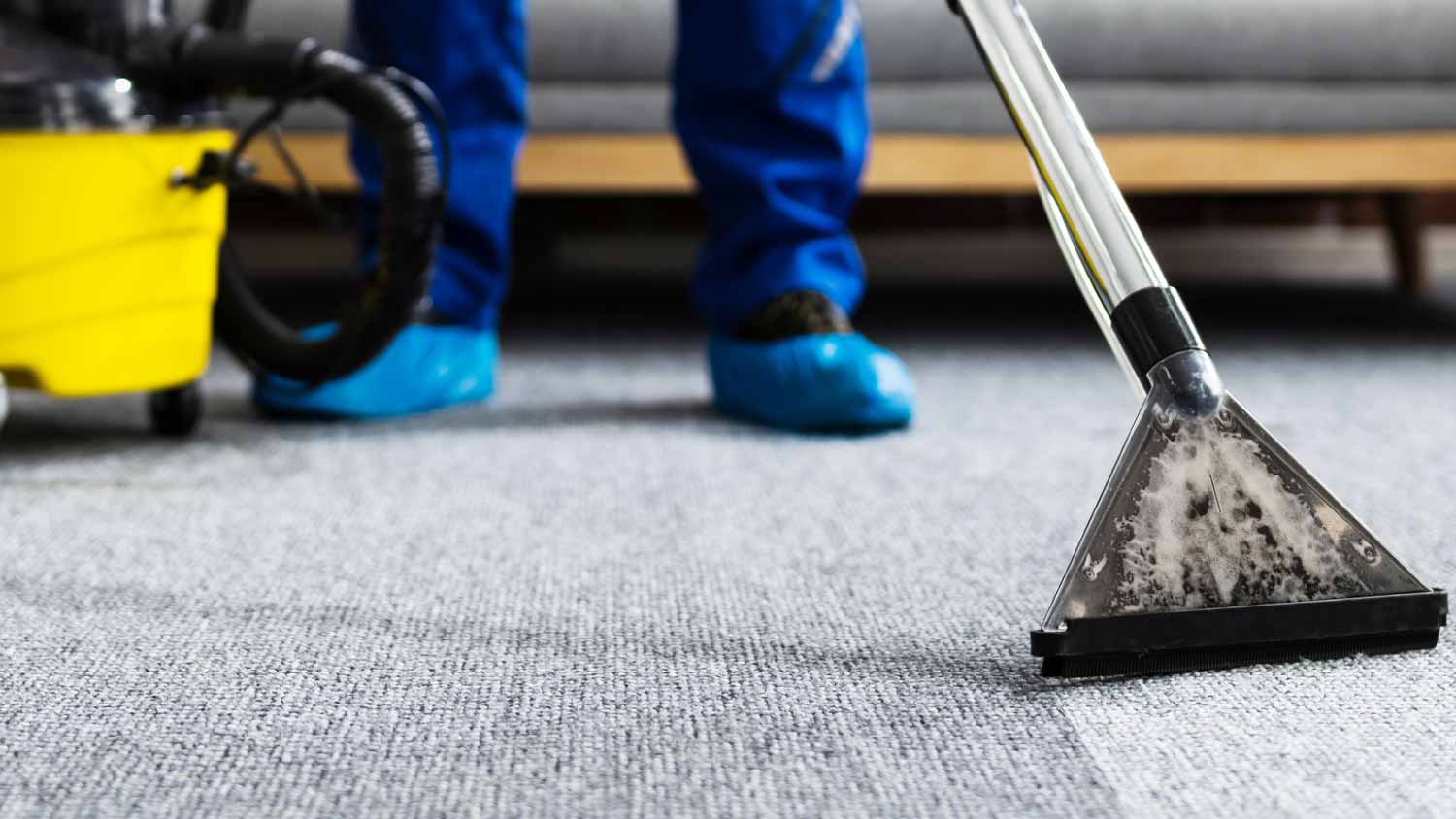 Worker cleaning carpet with vacuum cleaner
