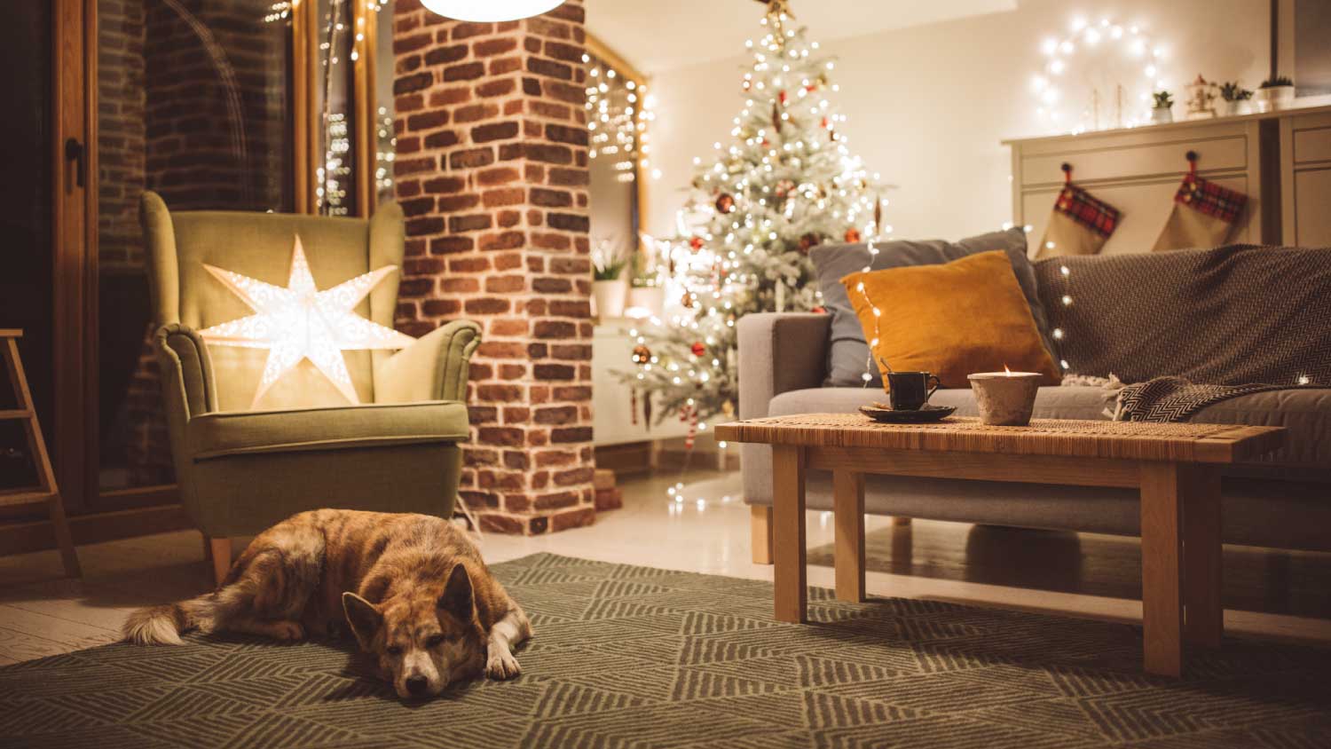 Living room with Christmas decoration