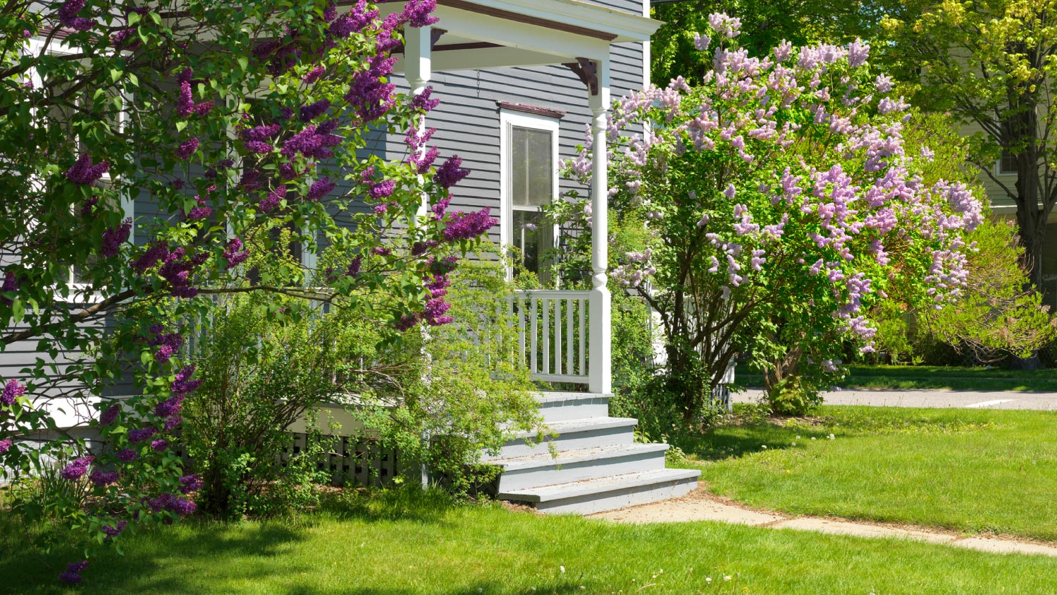 A garden with patio area