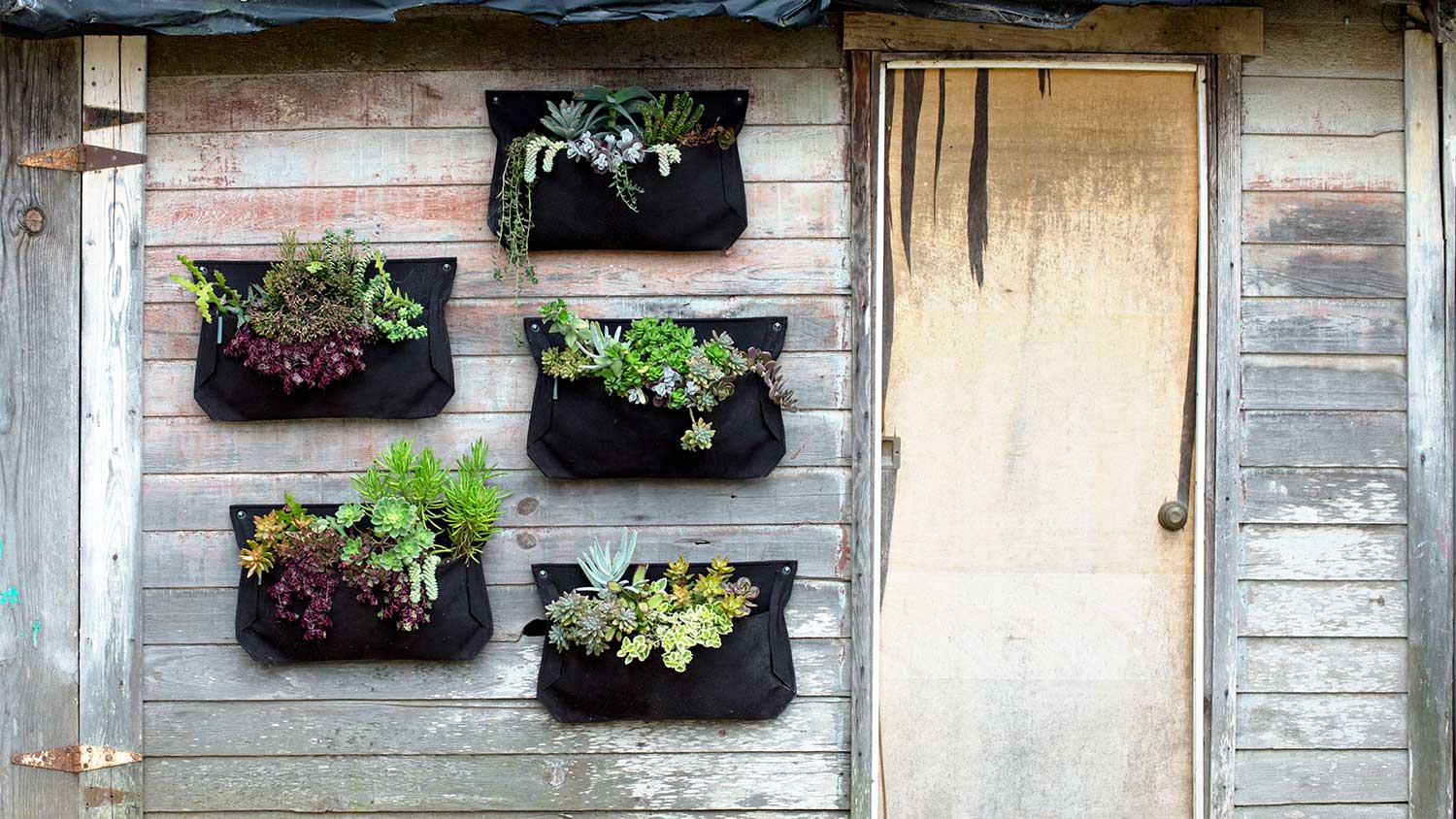 Canvas planter containers hold succulents