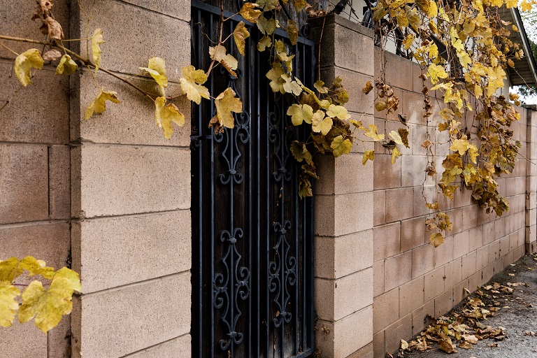 Cinder Block Wall With Leaves