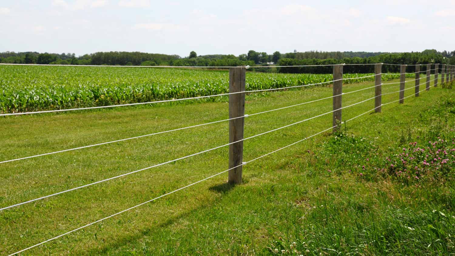 An electric fence on a farm