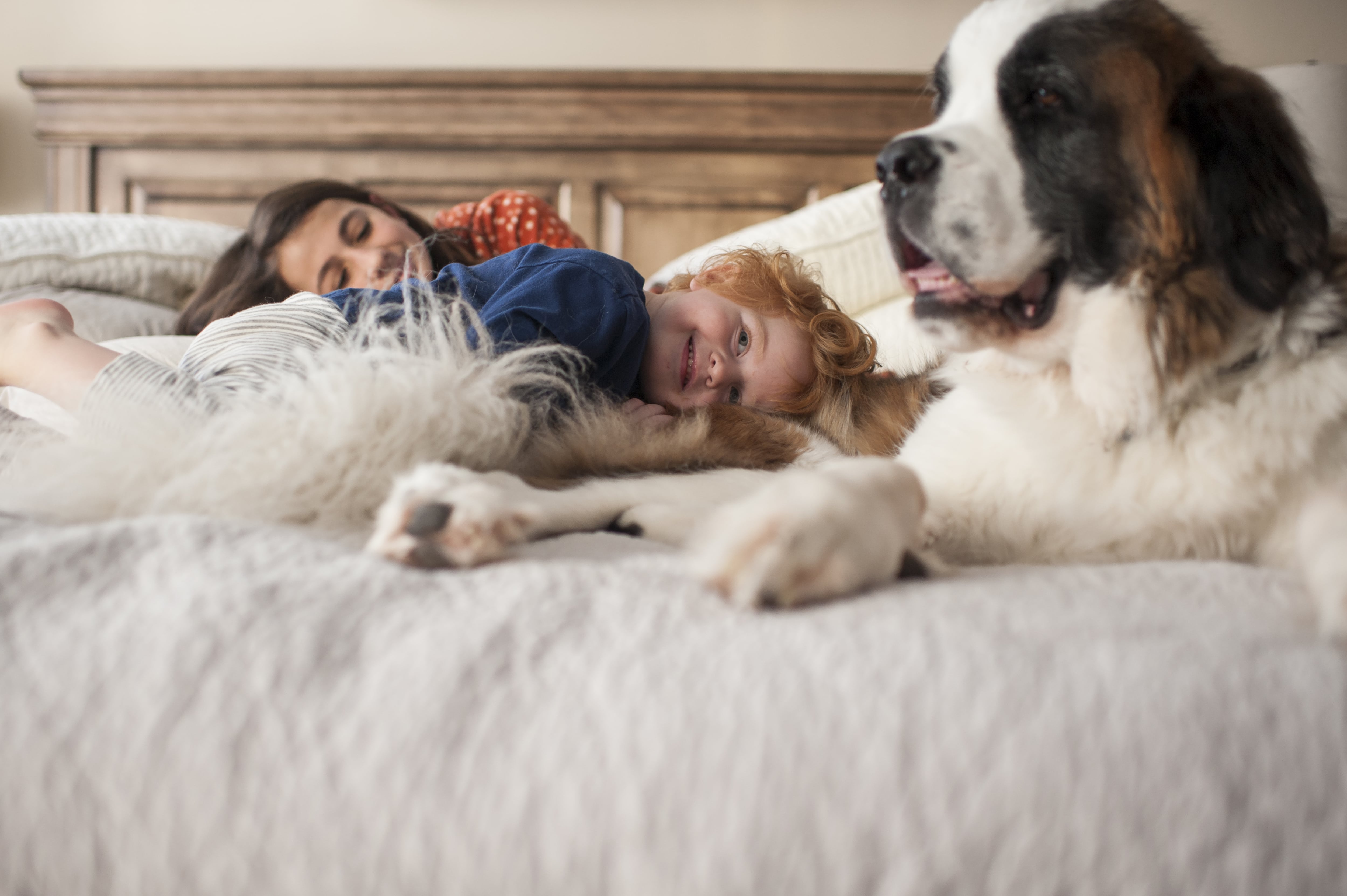 Children playing with dog on bed in bedroom