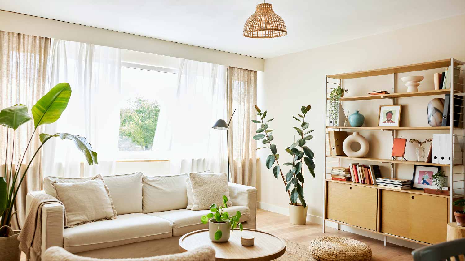 A living room painted in a bright color