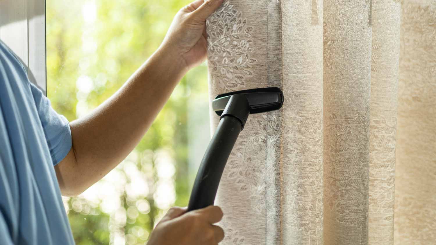 Man dry cleaning curtain with vacuum cleaner