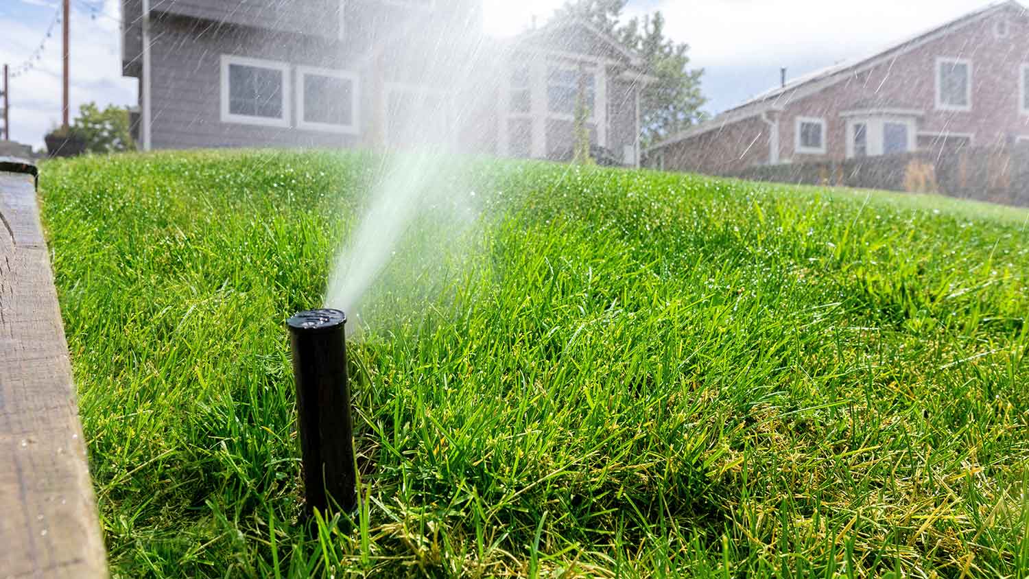 Automatic irrigation system watering the lawn