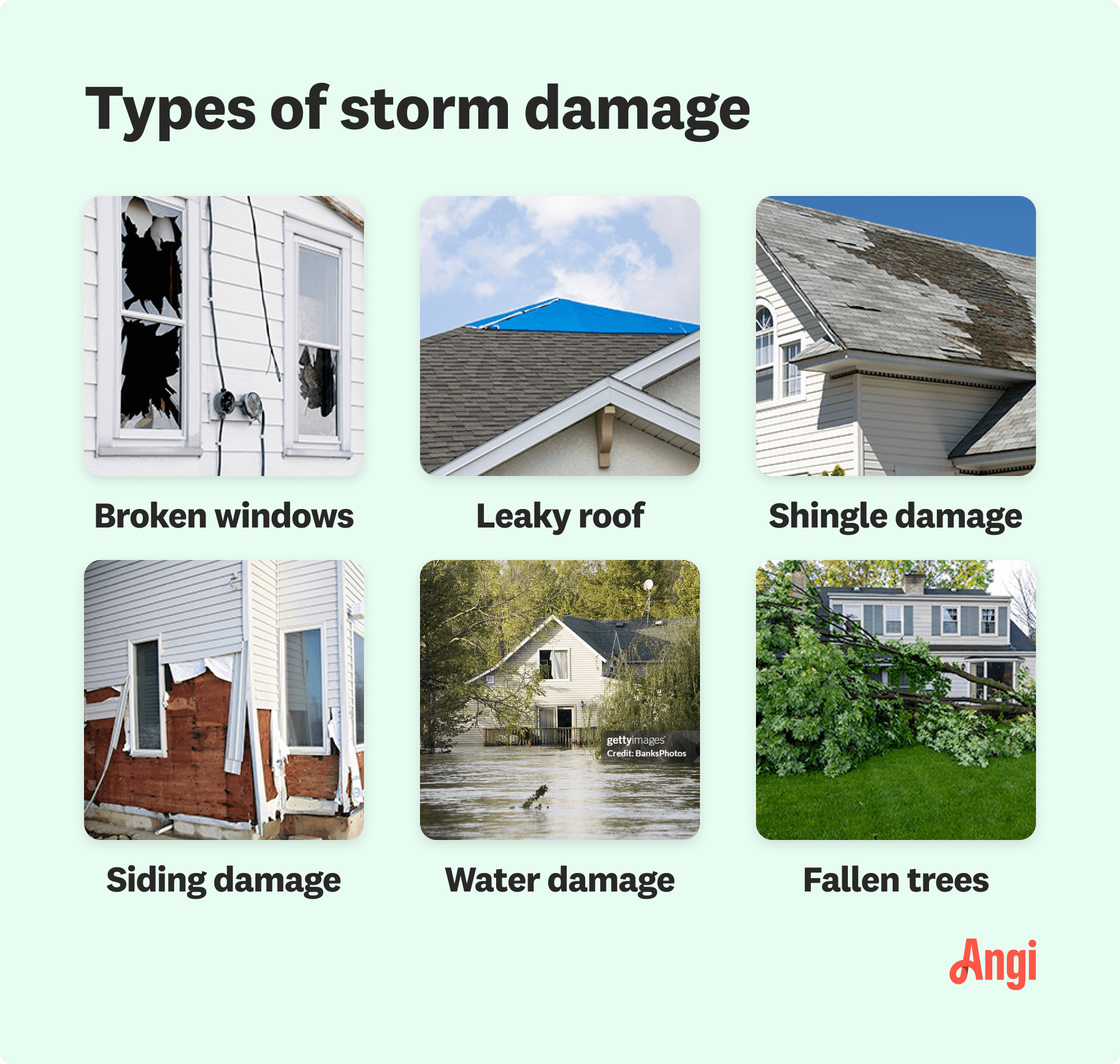 6 types of storm damage compared visually, including shingle, siding, and water 