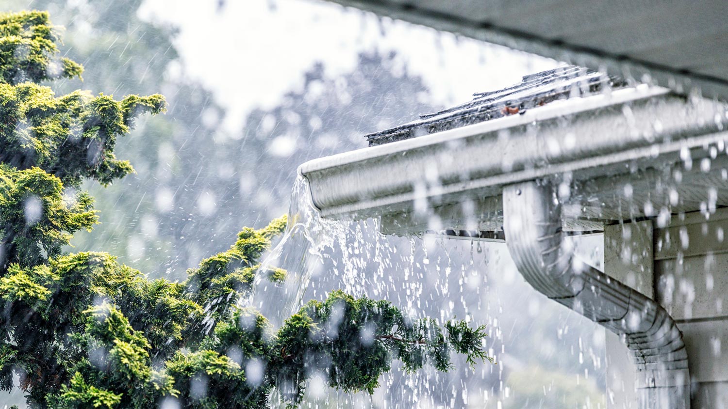 Summer rain overflowing roof gutters