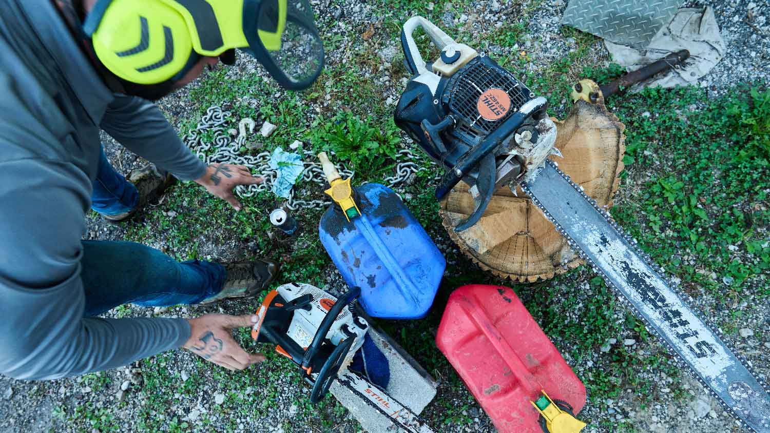 Top view of the tools needed to cut a tree