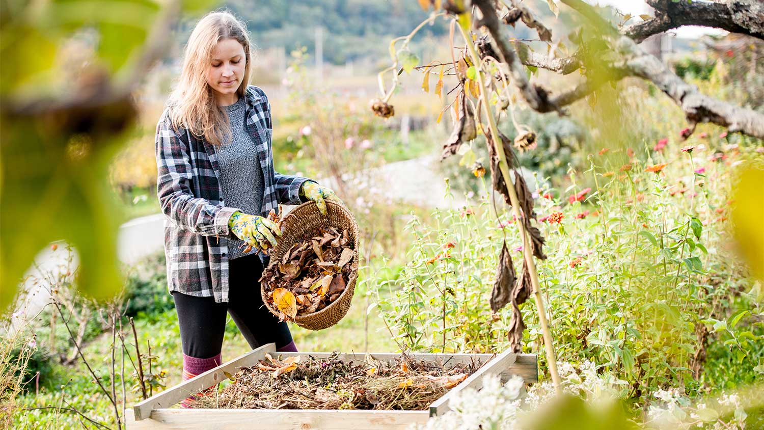 Woman composting yard waste