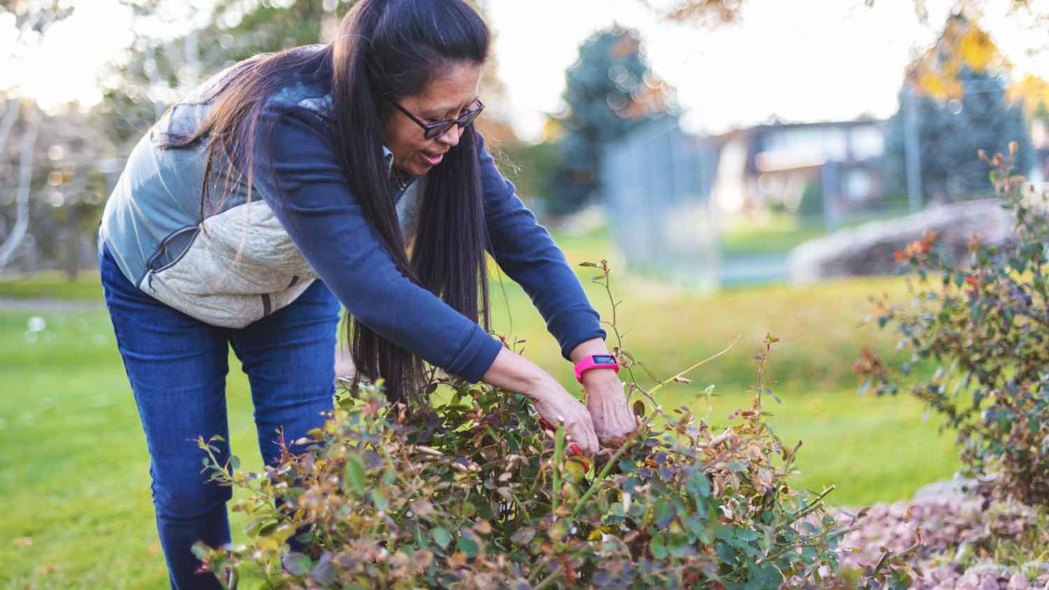 Woman trimming shrubs in her yard  